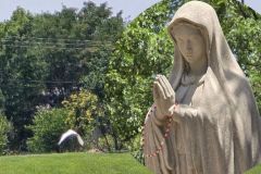 Summer-Gathering-2025_10