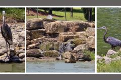 Summer-Gathering-2025_11