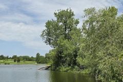 Summer-Gathering-2025_12