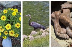 Summer-Gathering-2025_4