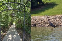 Summer-Gathering-2025_8