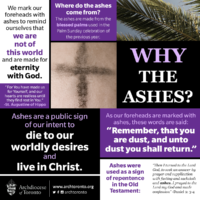 Why The Ashes